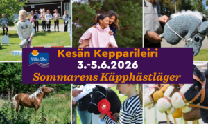 lapsia ja keppareita